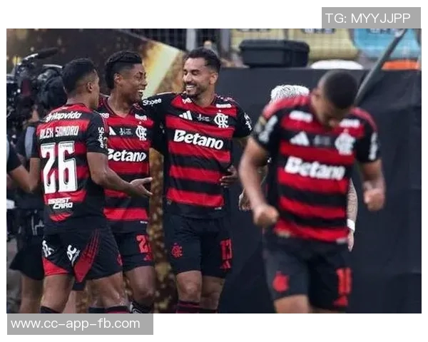 弗拉门戈球迷欢庆夺冠喜悦中奖杯疑似受损引发关注